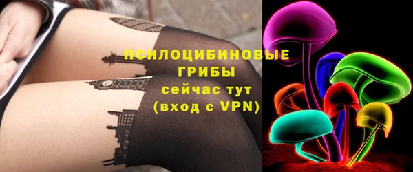 ешки Нефтегорск