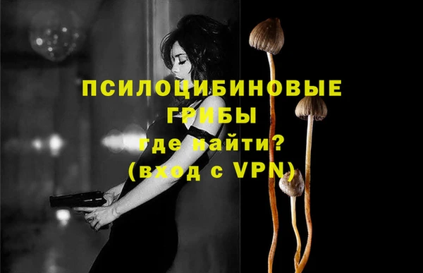 ПСИЛОЦИБИНОВЫЕ ГРИБЫ Новозыбков