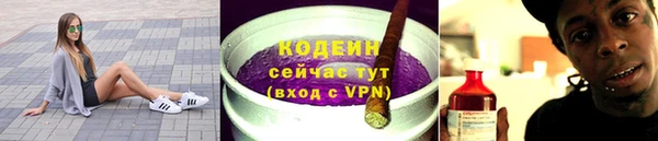 ПСИЛОЦИБИНОВЫЕ ГРИБЫ Новозыбков