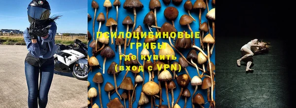марки nbome Новокубанск