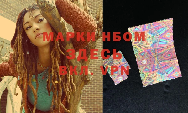 ПСИЛОЦИБИНОВЫЕ ГРИБЫ Новозыбков