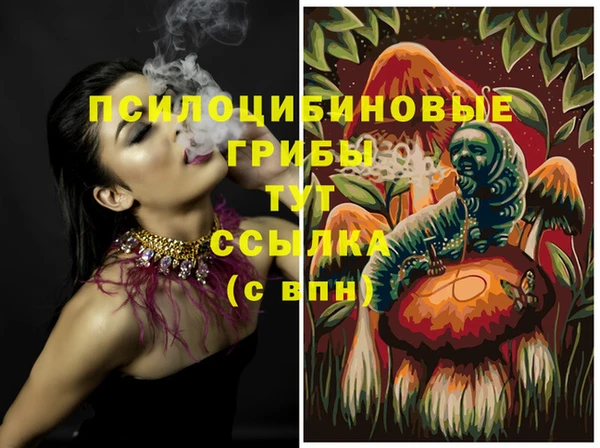 ПСИЛОЦИБИНОВЫЕ ГРИБЫ Новозыбков