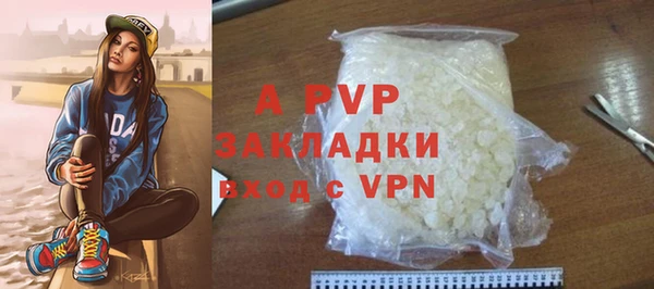 ПСИЛОЦИБИНОВЫЕ ГРИБЫ Новозыбков