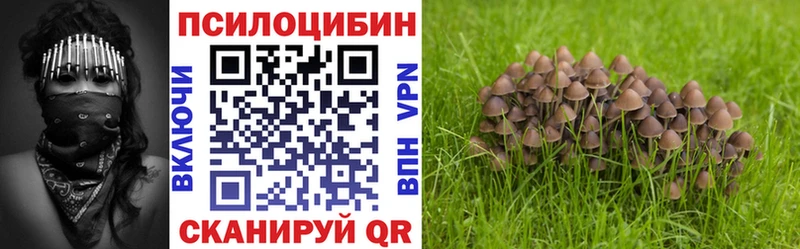 Галлюциногенные грибы прущие грибы Приволжск